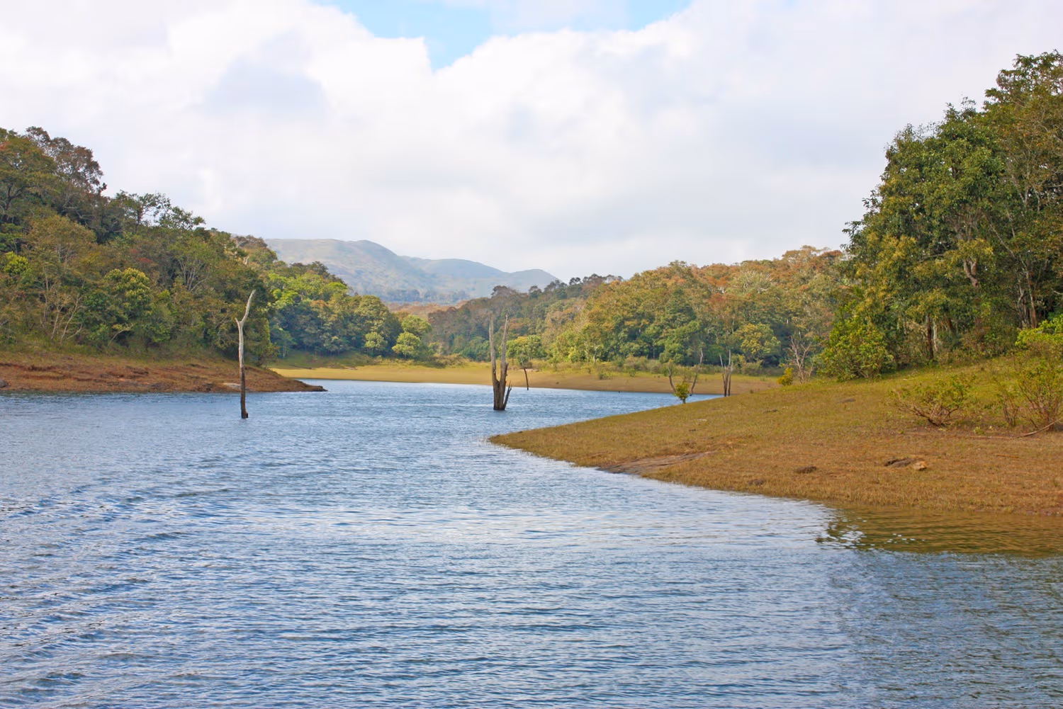 periyar-national-park
