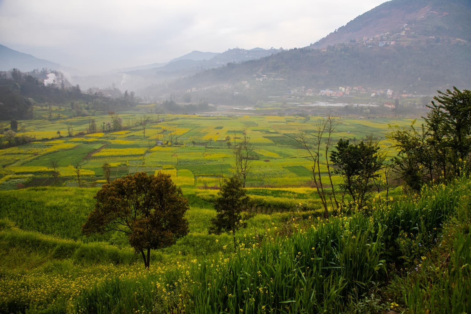 Punakha valley countryside