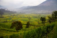 Punakha valley countryside