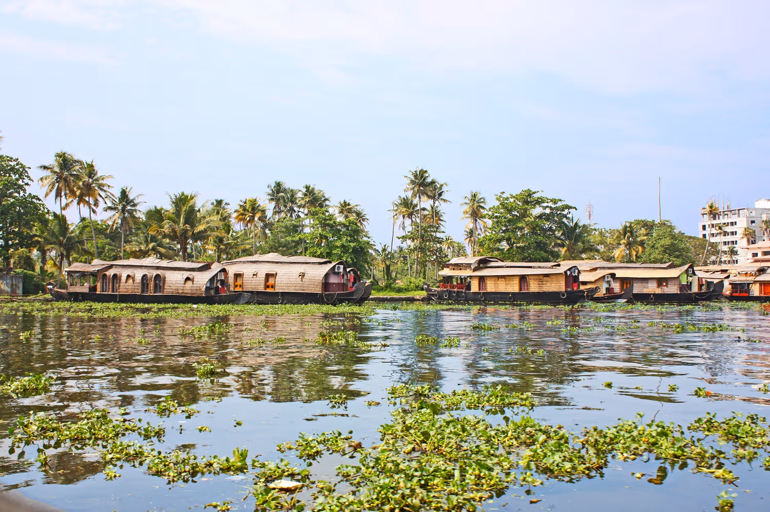 Stay at houseboats in Alleppey
