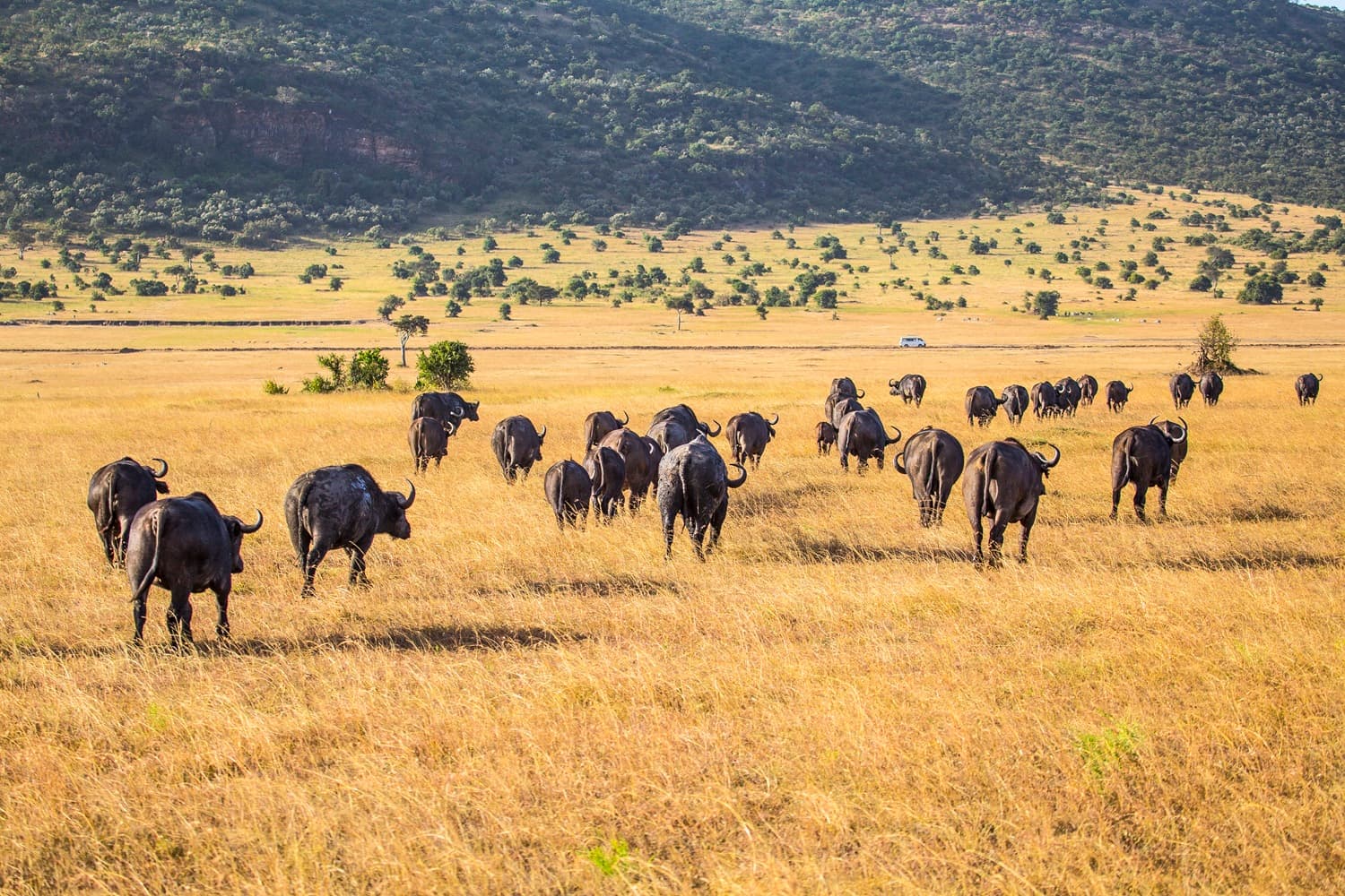 Tanzania 2
