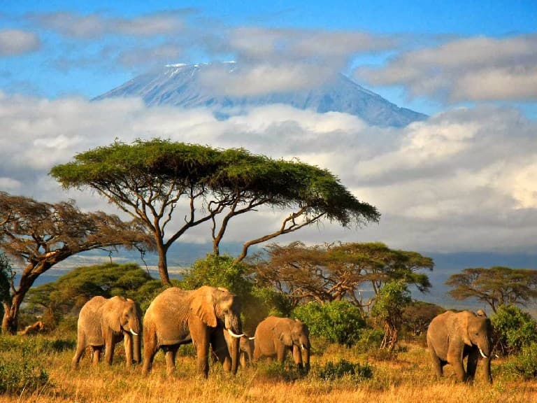 Best time to visit in Tanzania