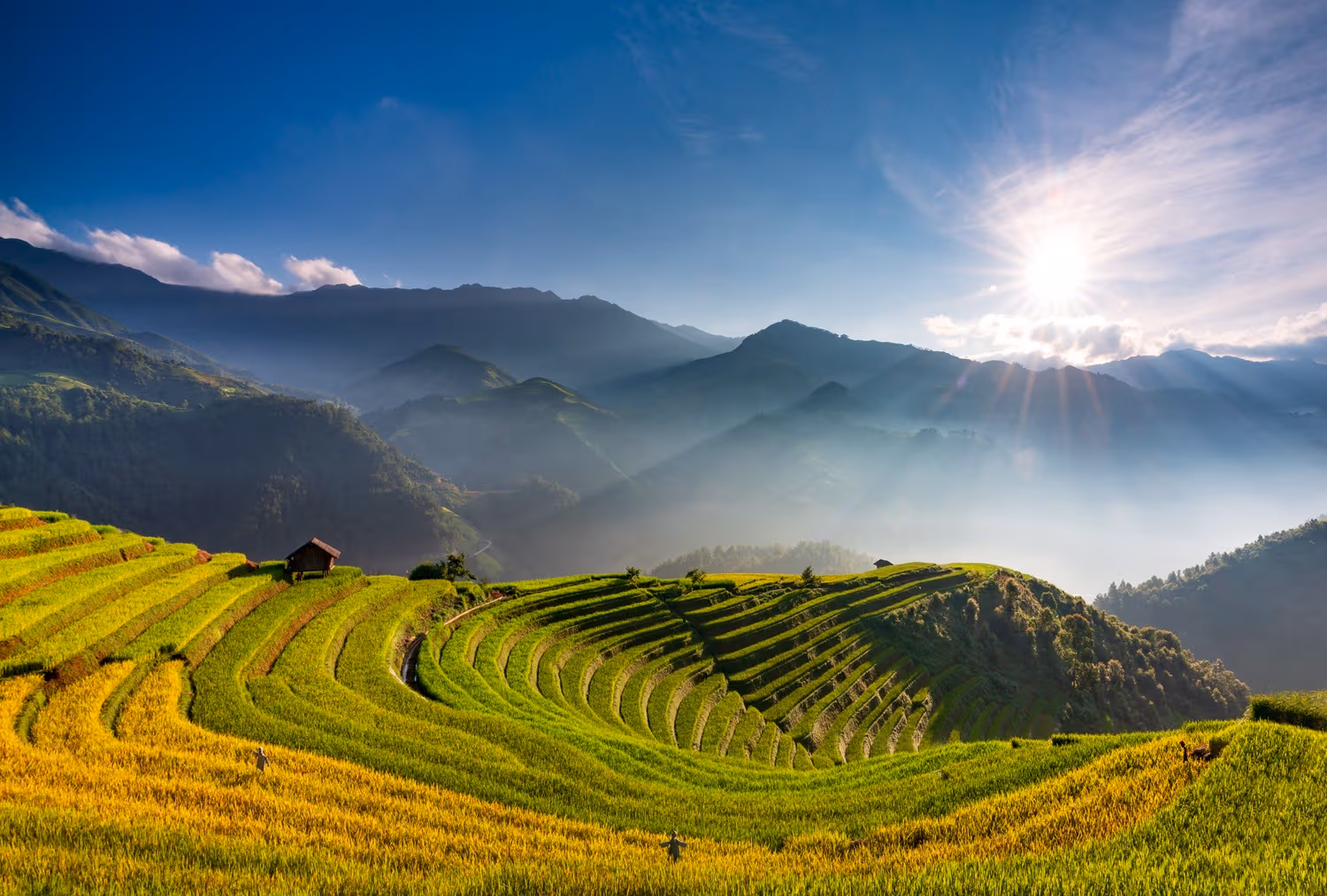 Vietnam