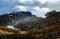 Yumthang Valley