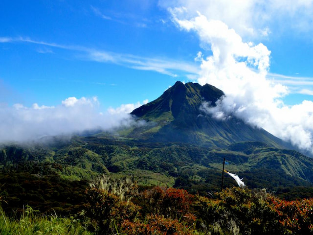 Climb The Tallest Mountain In The Philippines - Mt Apo - 1