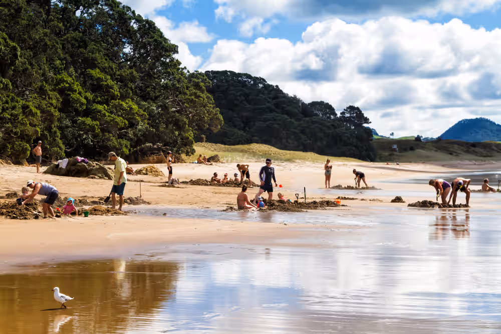 Dig your own Spa at Hot Water Beach in Adventure in New Zealand