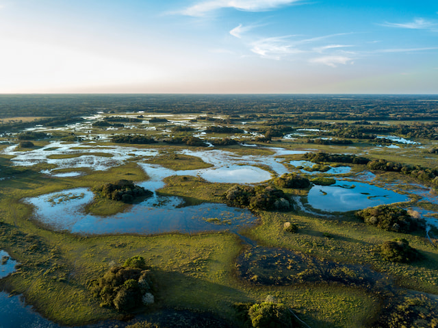 Discover The Vast Tropical Wetlands Of The Pantanal