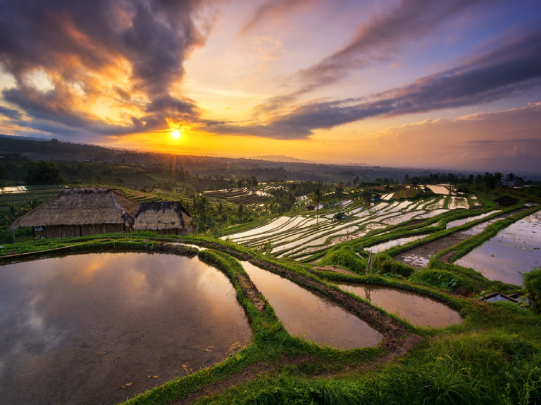 Discover UNESCO Classified Jatiluwih Rice Terrace - 1