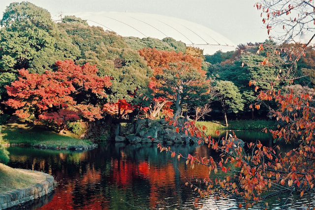 Enjoy 4 Seasons at Japanese Gardens-1