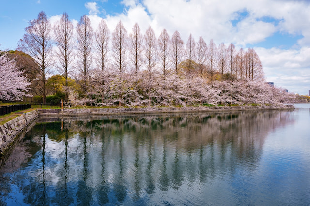 Enjoy 4 Seasons at Japanese Gardens 1