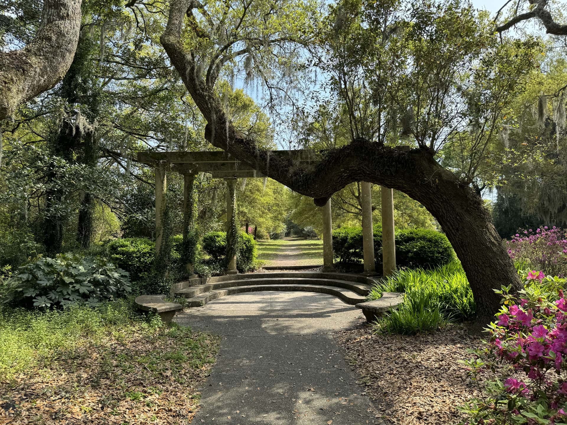 Enjoy Some Calm At Harry P Leu Gardens in Florida Luxury Hotel Deals