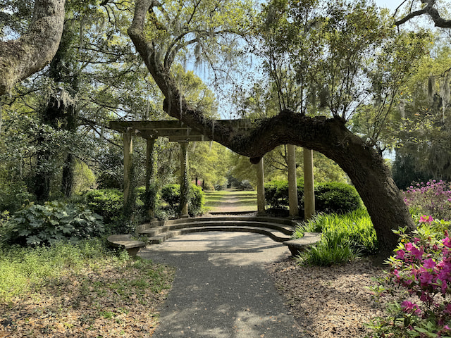 Enjoy Some Calm At Harry P Leu Gardens