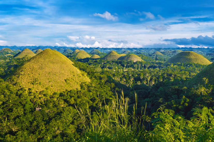 Enjoy The Unusual Chocolate Hills