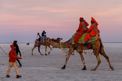 Explore Rann of Kutch