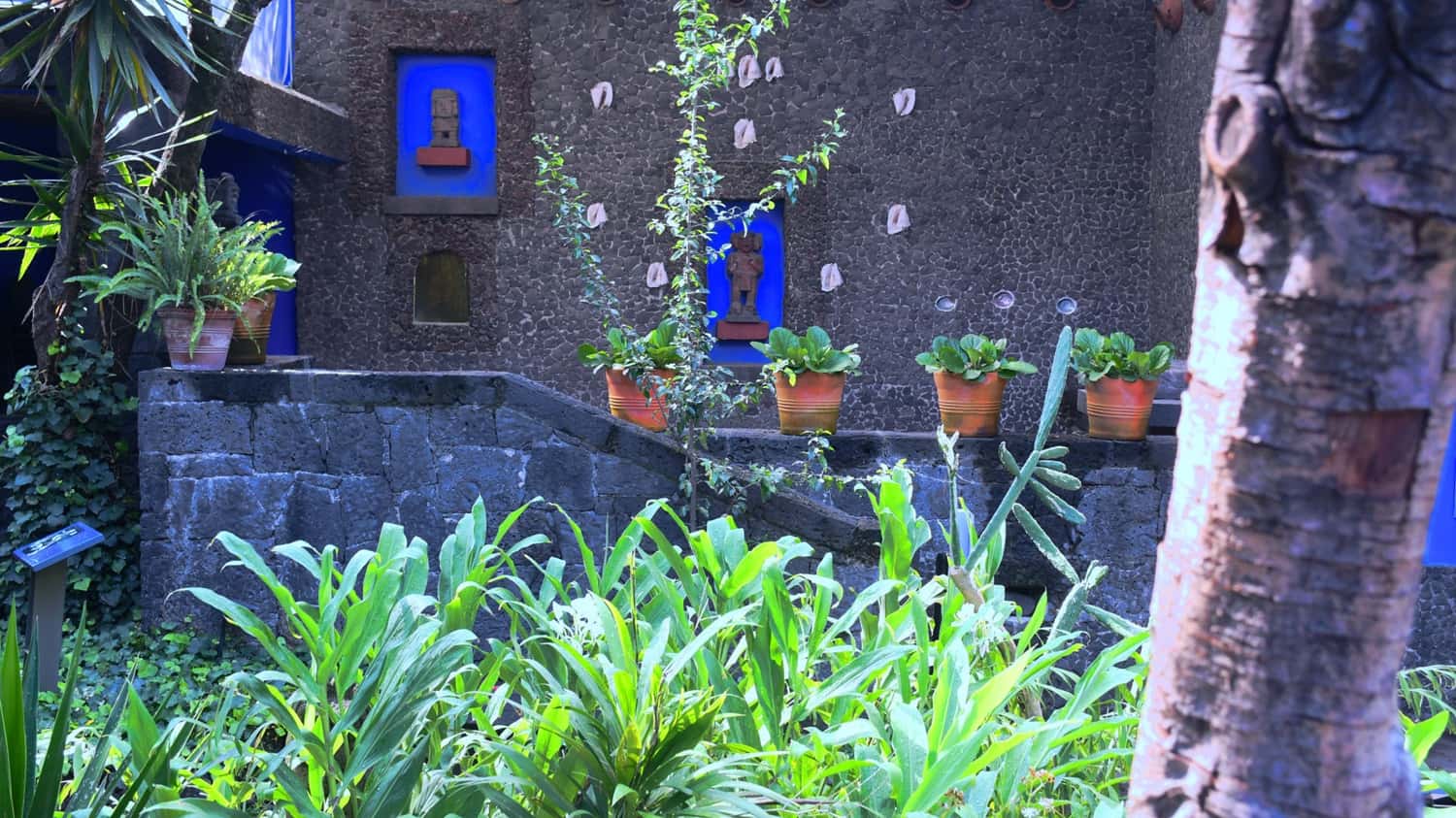 See Frida Kahol’s home turned museum in Mexico Luxury Hotel Deals