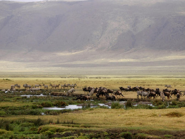 Full Day Crater Tour From Arusha - 1