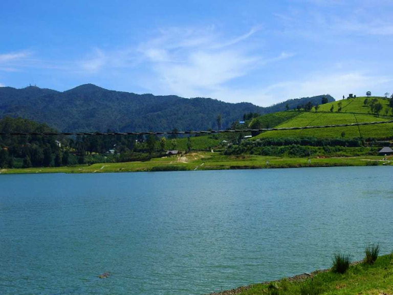 Go For Fishing - Boating At Gregory Lake - 1
