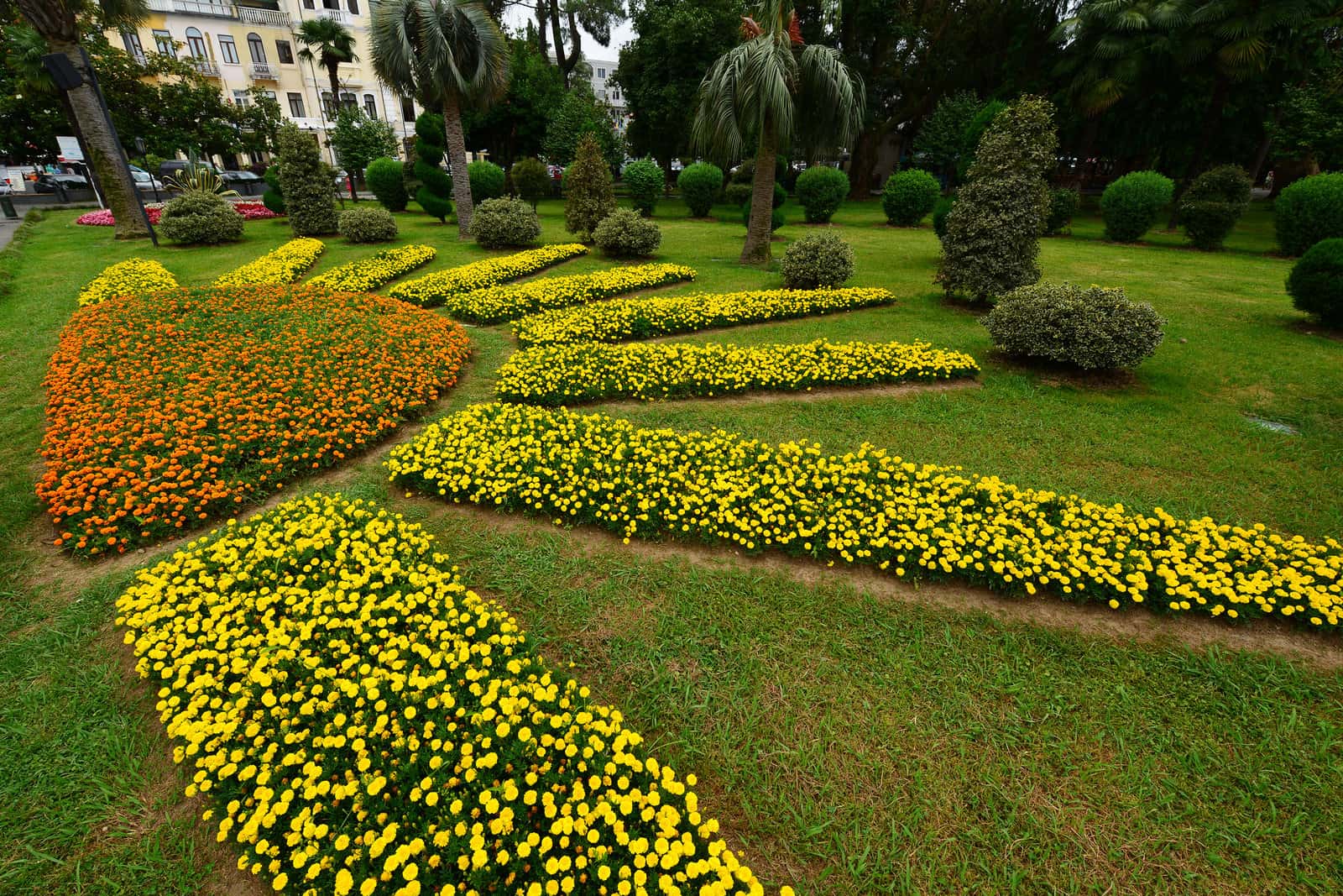 Hakgala Botanical Garden in Sri Lanka Luxury Hotel Deals