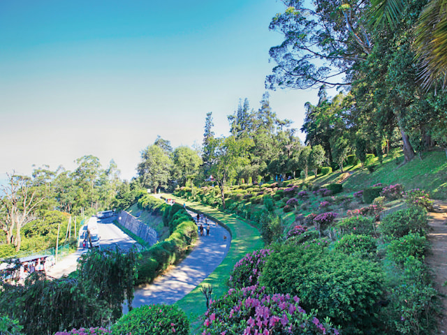 Hakgala Botanical Garden - 1