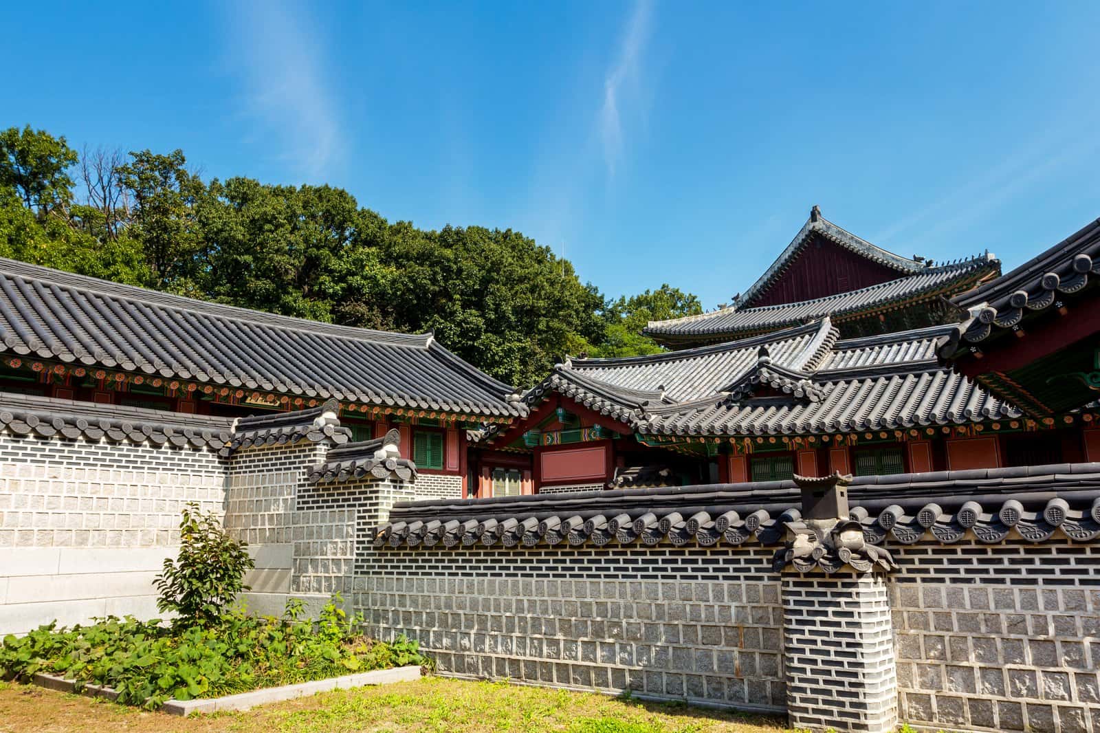 The City of Hanok and Korean Flavours In Jeonju in South Korea Honeymoon Tours