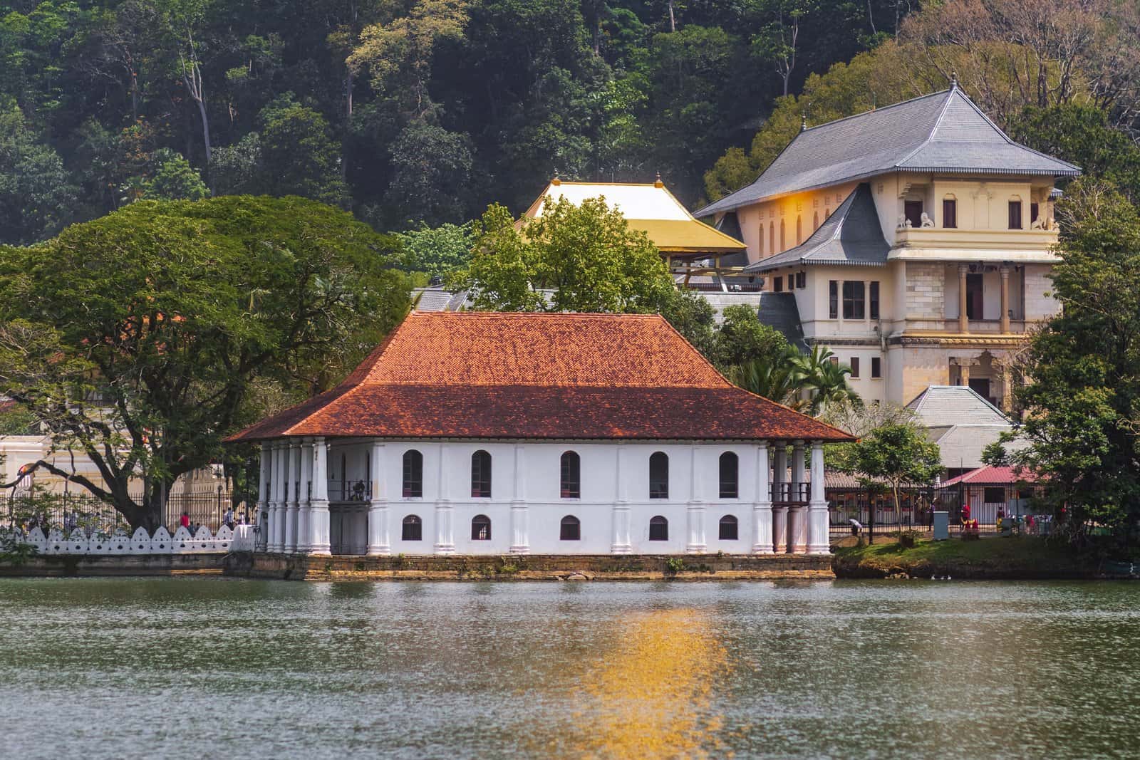 Kandy Lake in Sri Lanka Luxury Hotel Deals