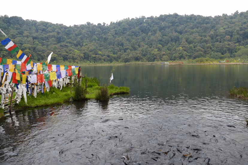 Khecheopalri Lake Pelling