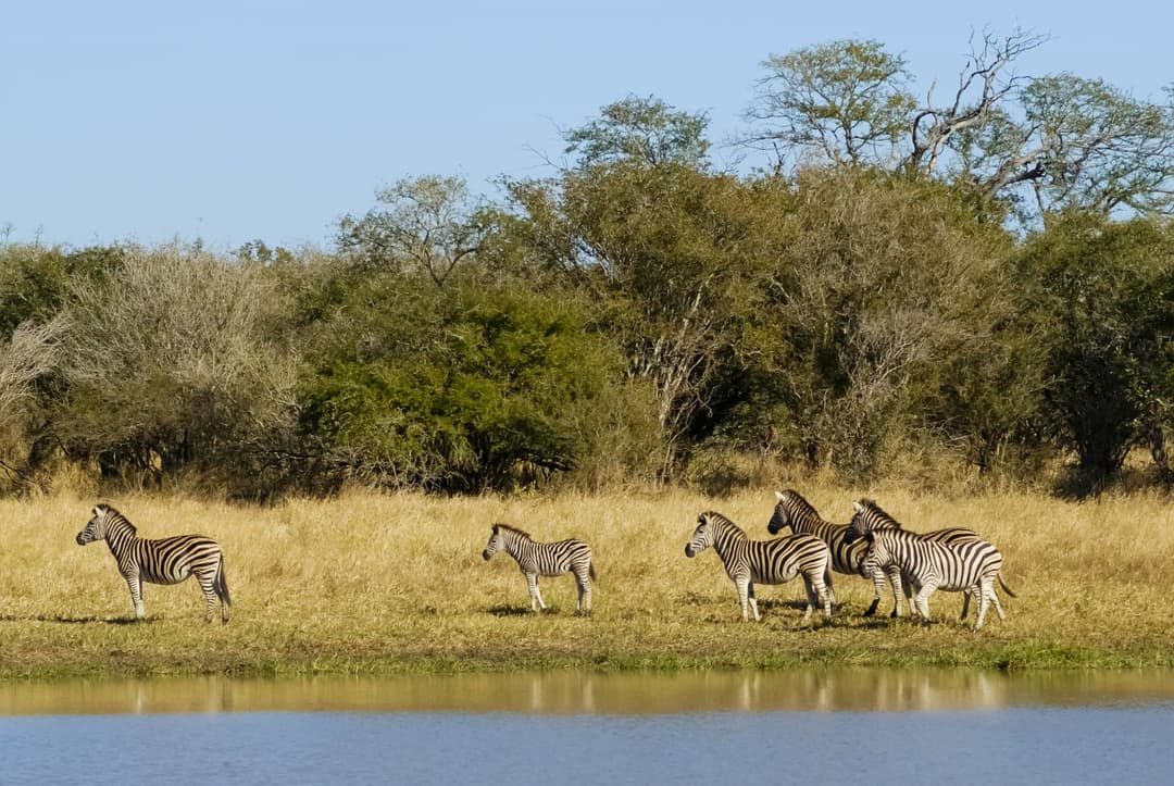 Kruger National Park