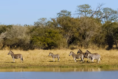 Kruger National Park