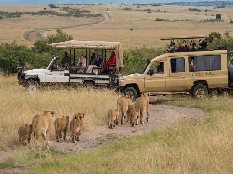 Masai Mara Game Drive  - 1