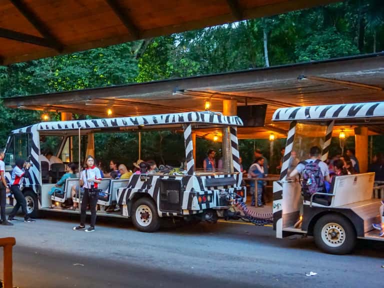 Night Safari in Southeast Monsoon Tours