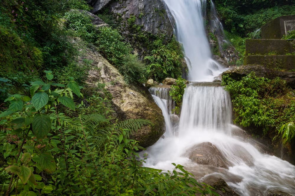 Panch Pulla – Experience The Magic Of Whispering Woods