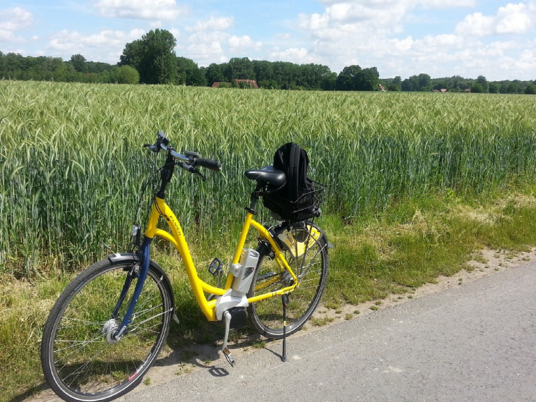 Ride on a Bike through Tea Plantations - 1