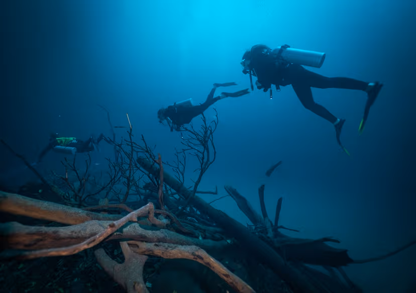 Scuba Dive in El Nido