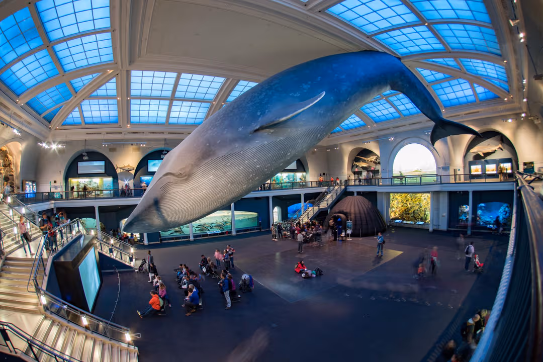 SeaWorld San Diego