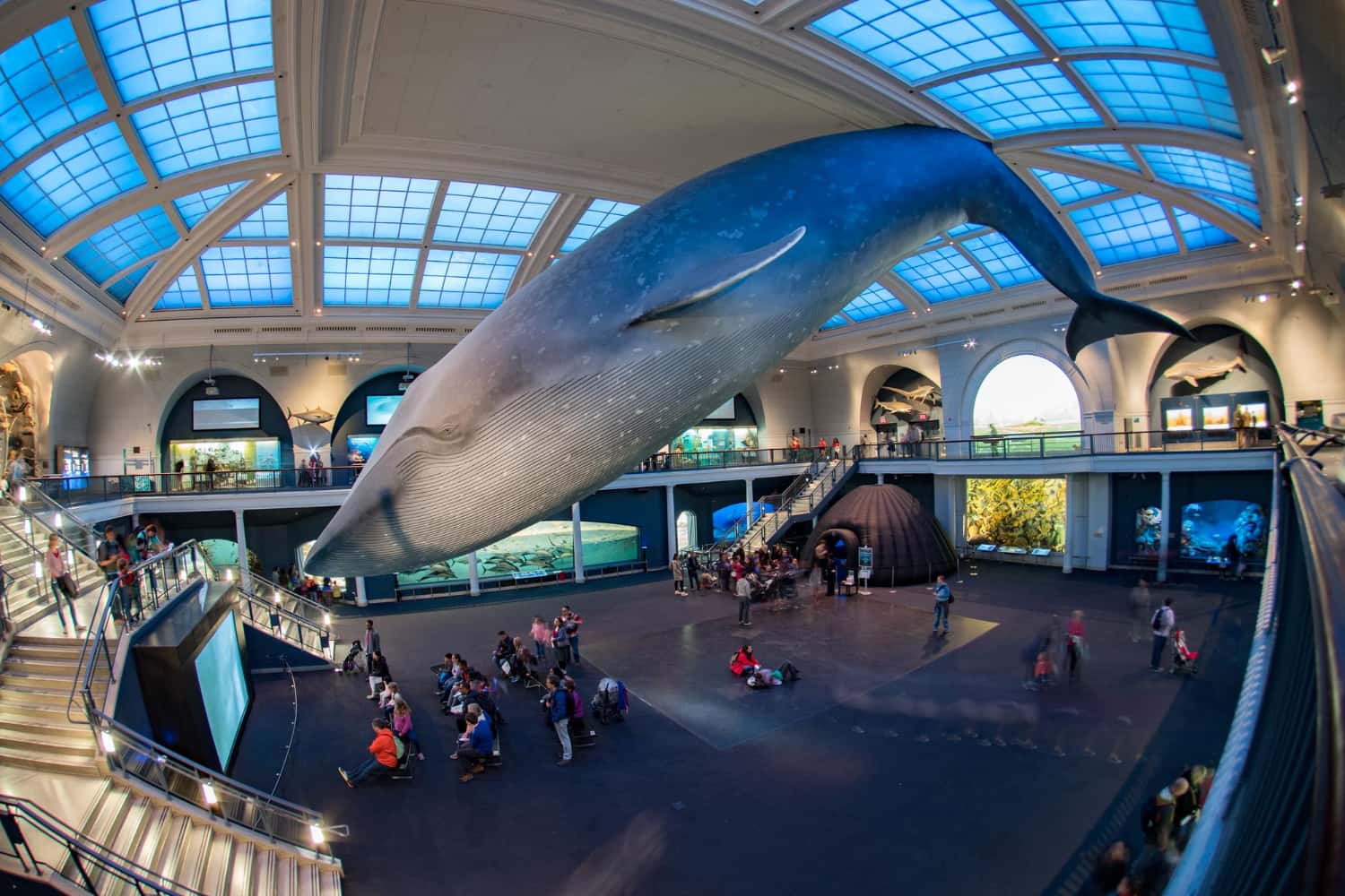 SeaWorld San Diego in Florida Luxury Hotel Deals