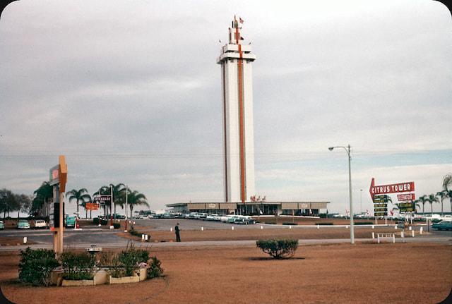 See Views For Miles and Miles From Citrus Tower