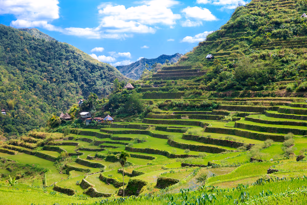 See the Beauty of The Banaue Rice Terraces