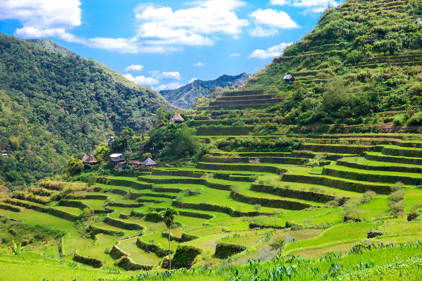 See the Beauty of The Banaue Rice Terraces