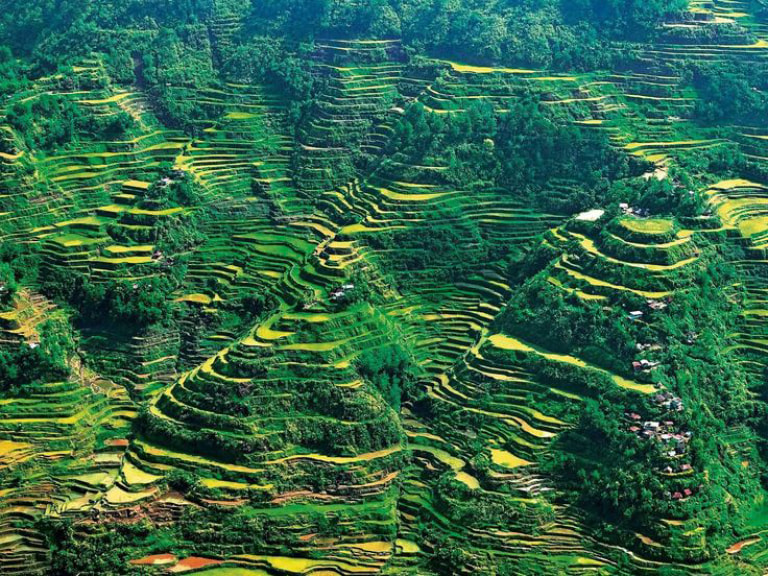 See the Beauty of The Banaue Rice Terraces - 1