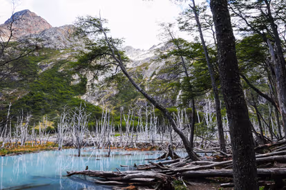 Shonga-tser Lake