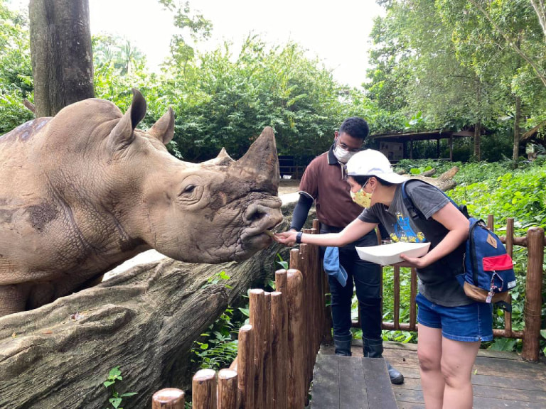 Spend The Day At The Singapore Zoo - 1