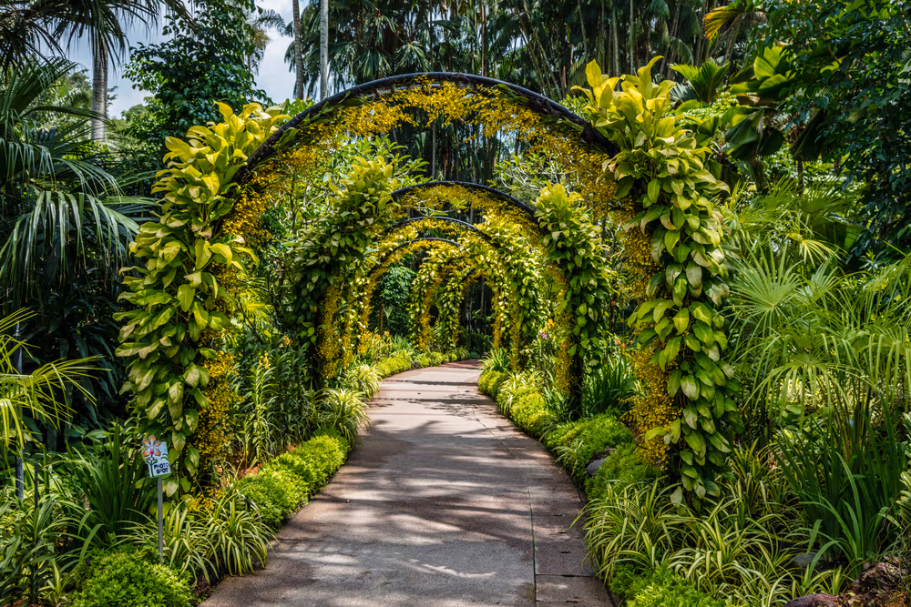 Stroll around Singapore Botanic Gardens