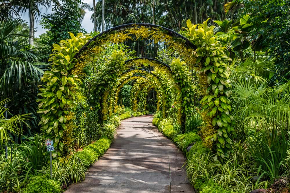 Stroll around Singapore Botanic Gardens in Southeast Monsoon Tours