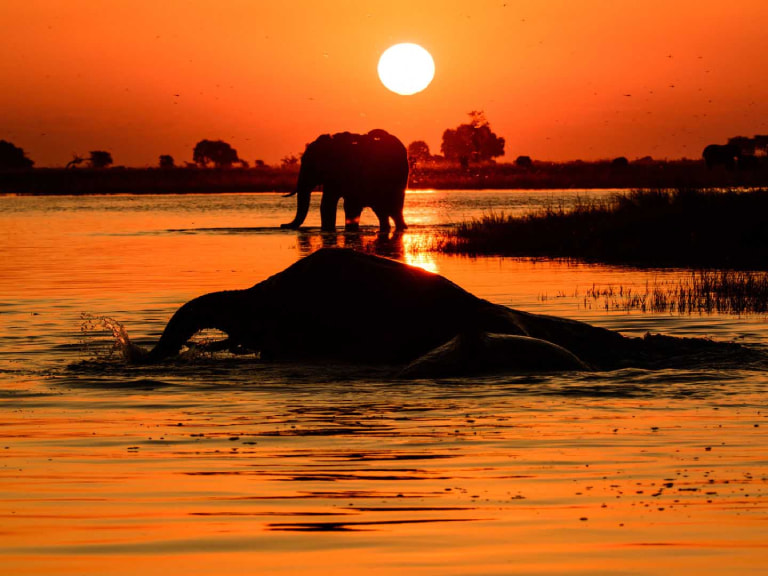 Sunset-Boat-Cruise-At-Chobe-National-Park-1