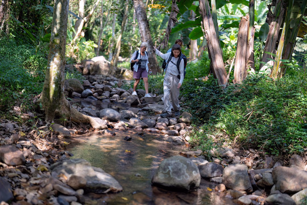 Take Part in Trekking Walking Trail