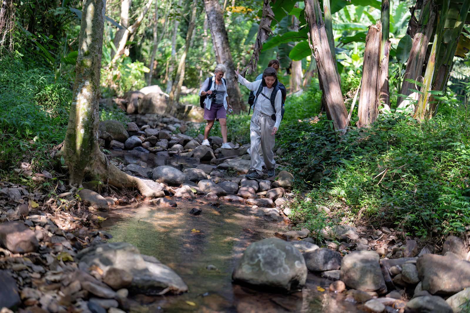 Take Part in Trekking/Walking Trail in Sri Lanka Luxury Hotel Deals