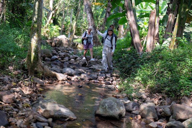 Take Part in Trekking Walking Trail