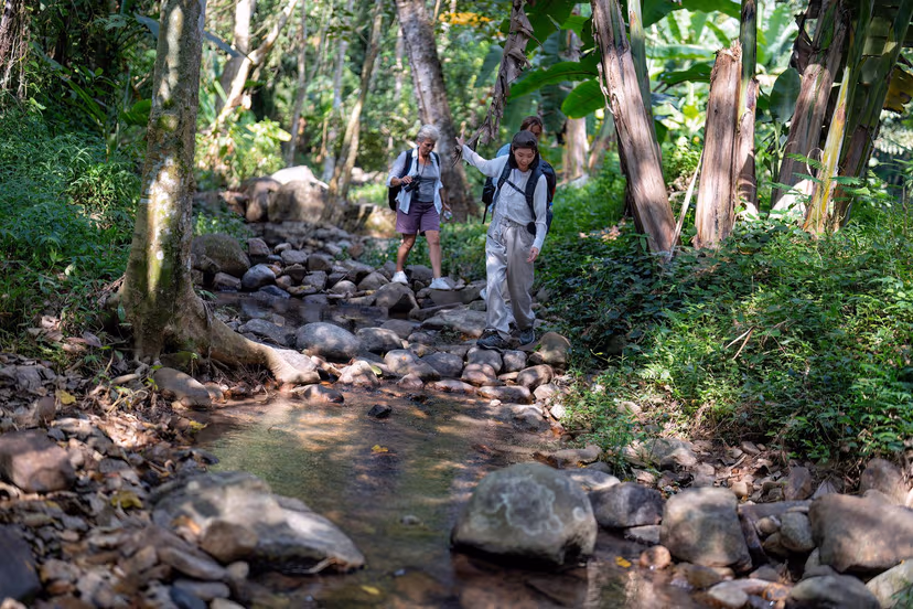 Take Part in Trekking Walking Trail