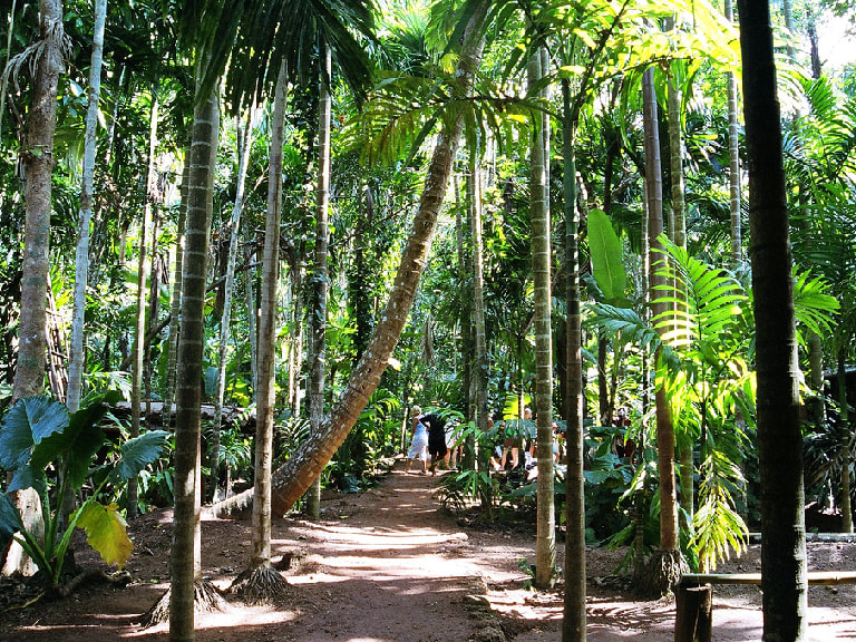 Take A Walk Around Spice Plantations In Goa - 1