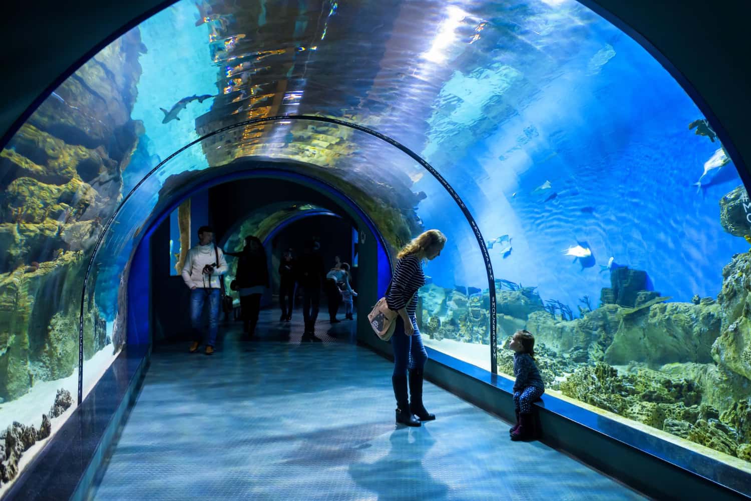 Tempozan Harbor Village with Kaiyukan Aquarium in Japan Honeymoon Tours